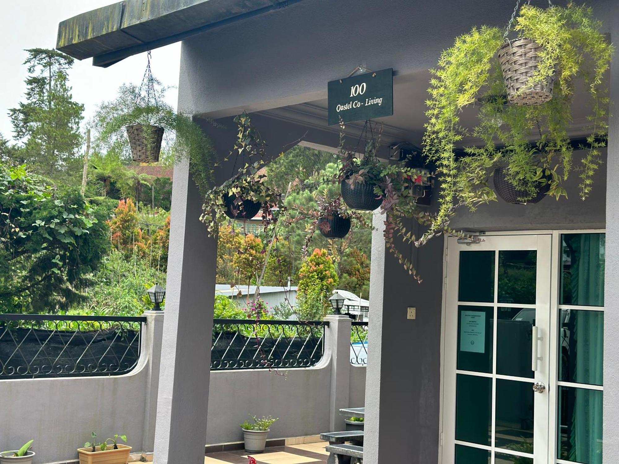 100 Backpackers Hostel Tanah Rata Exterior foto